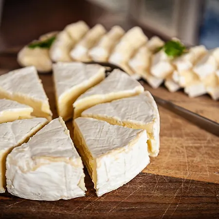 Neptune Boatique Amsterdam